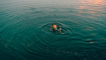The First Summer After You, And Other Poems
