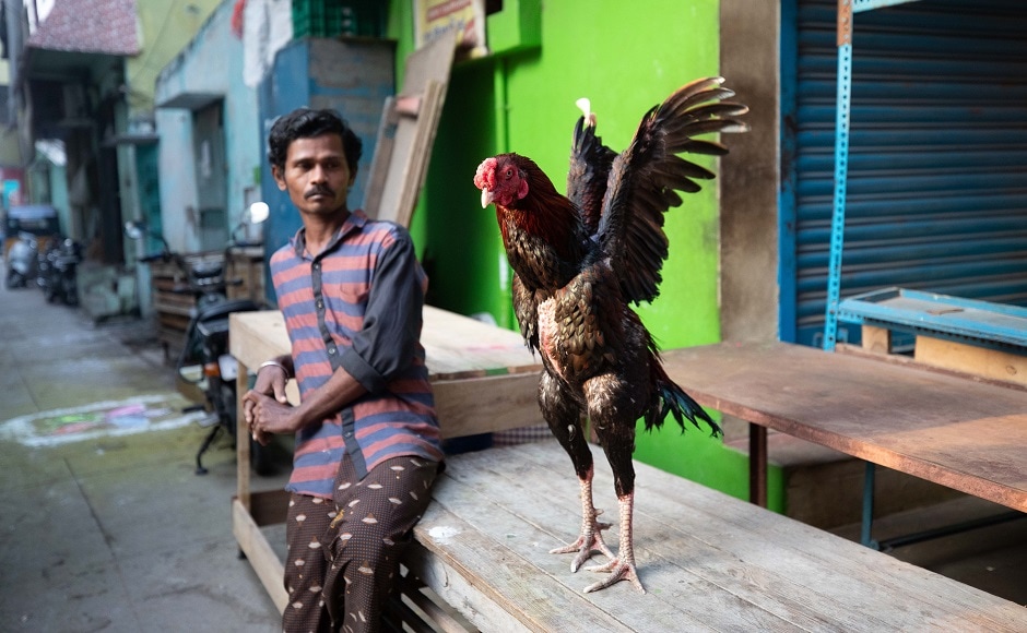 This year, the vizha also moves to the cultural melting pot of North Chennai — the birthplace of Gaana — with a new name, the Chennai Kalai Theruvizha (Street Festival). 'Who is taller?'/ Maheshwaran This year, the vizha also moves to the cultural melting pot of North Chennai — the birthplace of Gaana — with a new name, the Chennai Kalai Theruvizha (Street Festival). 'Who is taller?'/ Maheshwaran