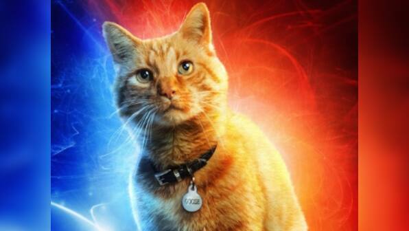Captain Marvel pet cat Goose reportedly stole the show during advance screening of Brie Larson's film