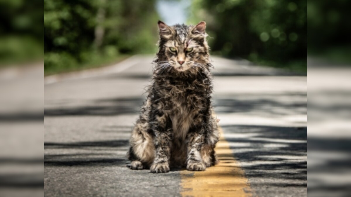 Pet Sematary early reactions: New Stephen King adaptation 'manages to reach Kubrick/Shining level heights'