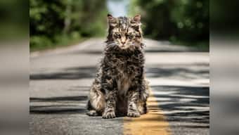 Pet Sematary trailer: Stephen King's cult classic turns into bone-chilling tale of burial grounds and resurrections