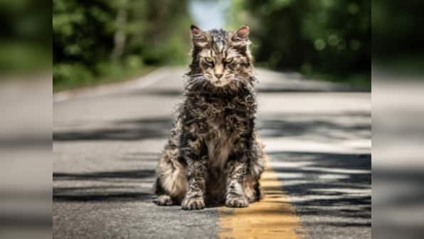 Pet Sematary trailer: Stephen King's cult classic turns into bone-chilling tale of burial grounds and resurrections