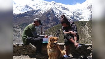In the Himalayas, growing population of feral dogs poses threat to wildlife, humans