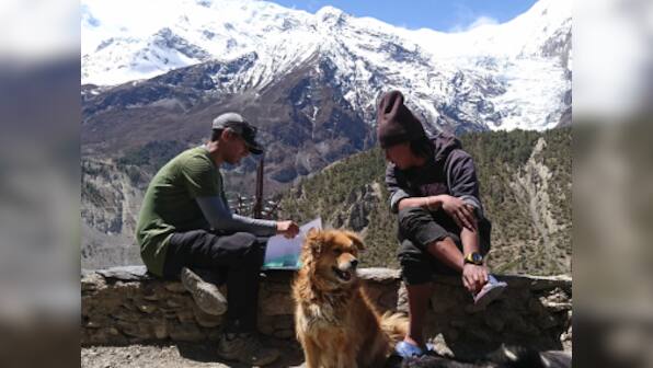 In the Himalayas, growing population of feral dogs poses threat to wildlife, humans