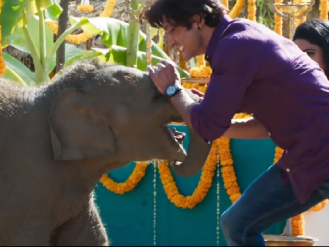 Junglee Song Fakeera Ghar Aaja Vidyut Jammwal Wistfully Recalls His Childhood Days In Jubin Nautiyal S Nostalgic Number Entertainment News Firstpost junglee song fakeera ghar aaja vidyut