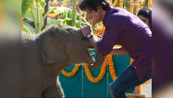 Junglee Song Fakeera Ghar Aaja: Vidyut Jammwal wistfully recalls his childhood days in Jubin Nautiyal's nostalgic number