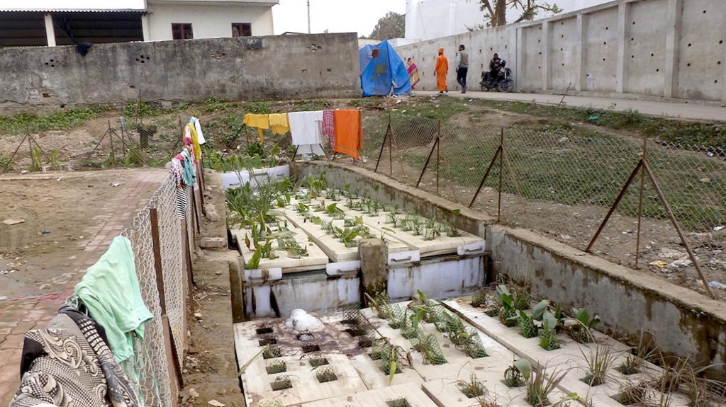 An inline sewage treatment project at Jhunsi, a suburb of Prayagraj. A few such innovative projects seek to lower the cost of sewage treatment. Photo courtesy Soumya Sarkar