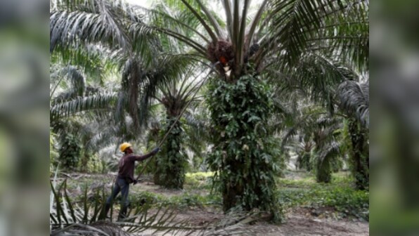 India's palm oil imports likely to jump to record high in 2018-19 as prices witness sharp decline: Report