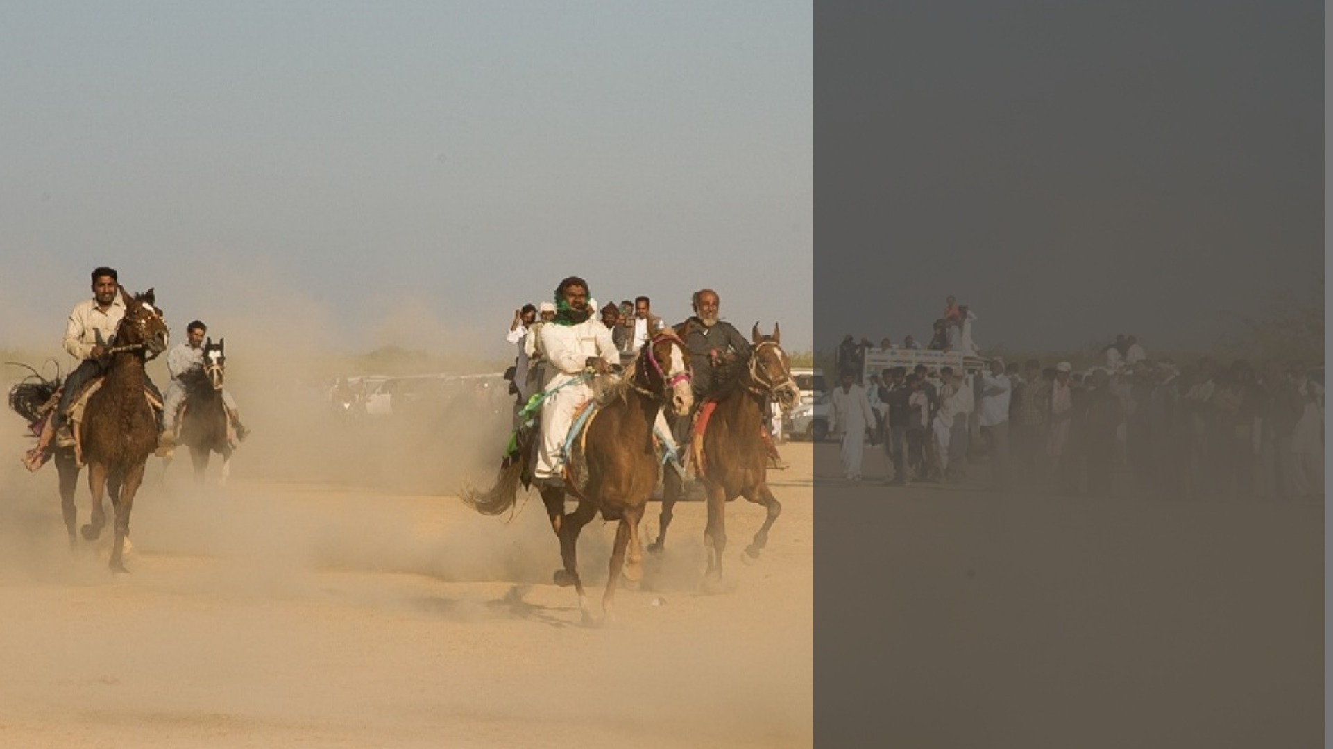 At the Banni Pashu Mela, a unique glimpse into the lives of Kutch's maaldhari communities At the Banni Pashu Mela, a unique glimpse into the lives of Kutch's maaldhari communities