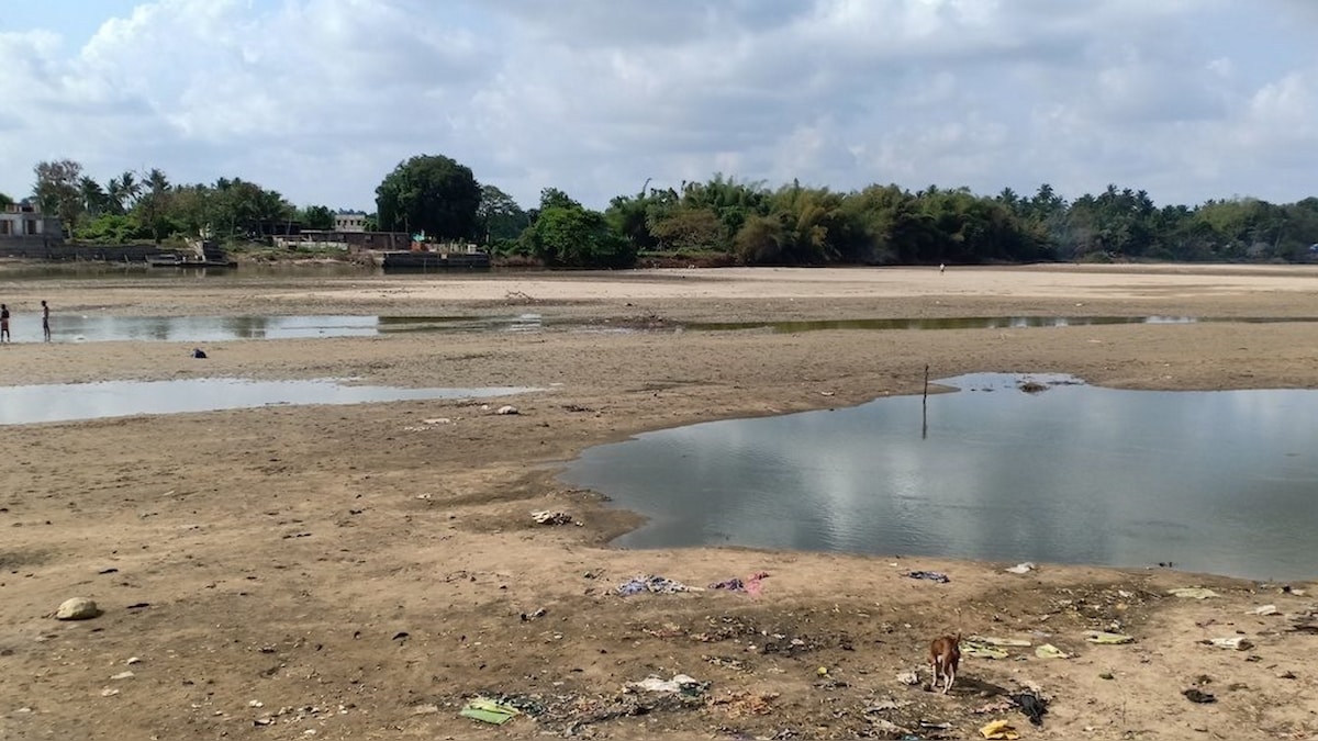 Kaveri delta: Shrinking area and decreasing farm productivity hit south India's agricultural backbone