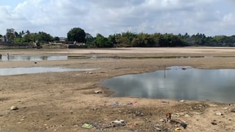 Kaveri delta: Shrinking area and decreasing farm productivity hit south India's agricultural backbone