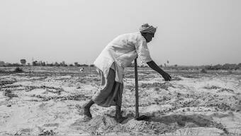Atal Setu, a new bridge in Bihar over troubled Kosi, raises risk of higher flood surges