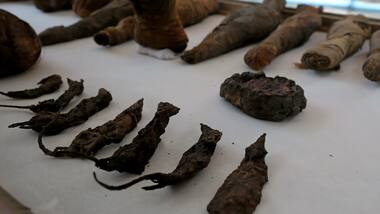 Dozens of mummified mice found in ancient Egyptian tomb dating back 2,000 years