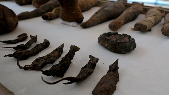 Dozens of mummified mice found in ancient Egyptian tomb dating back 2,000 years