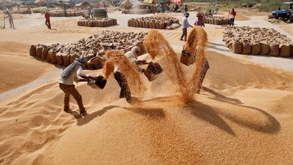 No wheat shortage in India, ban imposed to check 'rampant' export, says Union agriculture minister