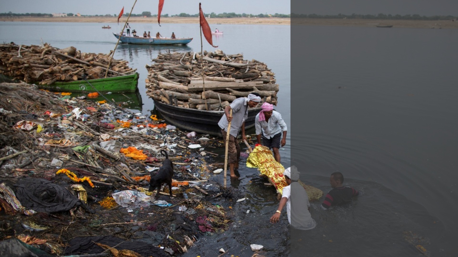 In Varanasi and Kanpur, a polluted Ganga might have a part to play in 2019 poll results In Varanasi and Kanpur, a polluted Ganga might have a part to play in 2019 poll results