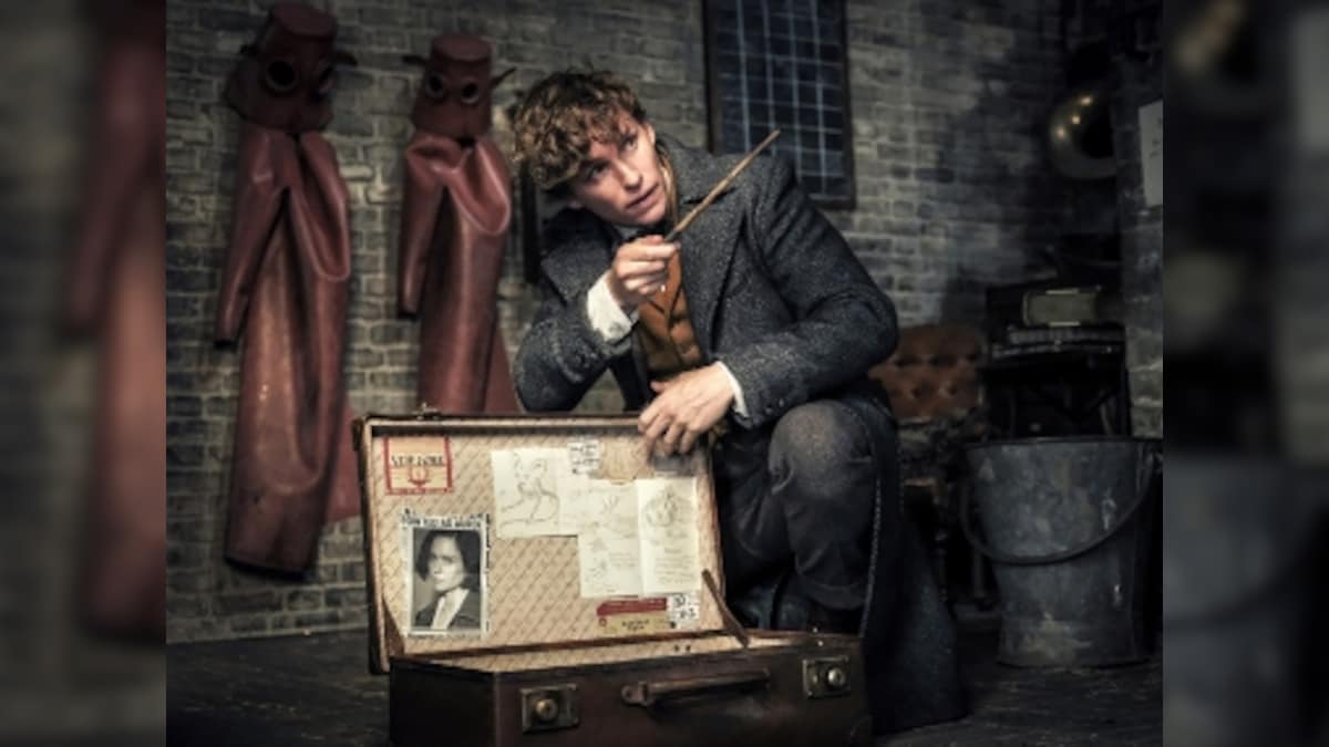 Fantastic Beasts 3: Third instalment in Harry Potter prequel franchise to be set in Brazil; production will begin in spring 2020