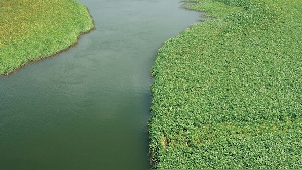 Cauvery, a river under stress: In Coorg, unwanted 'development' comes at a high environmental cost