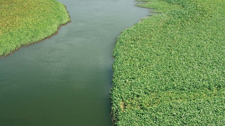 Cauvery, a river under stress: In Coorg, unwanted 'development' comes at a high environmental cost