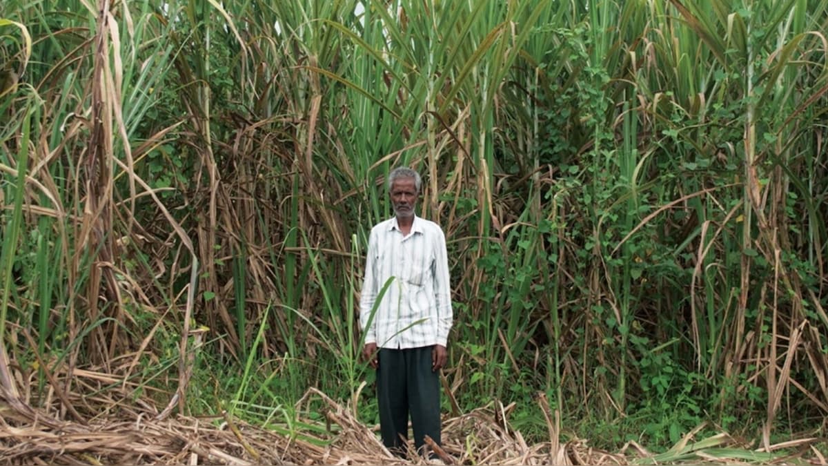 Cauvery, a river under stress: The plight of Mandya's farmers — and of TN's fluorosis belt residents