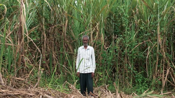 Cauvery, a river under stress: The plight of Mandya's farmers — and of TN's fluorosis belt residents