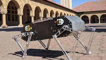Doggo is the robot dog developed by Stanford students that can do backflips, jumps and trots