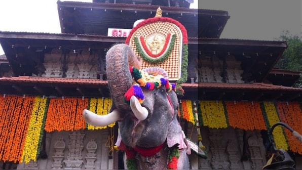 To parade or not: An elephantine problem at Thrissur Pooram
