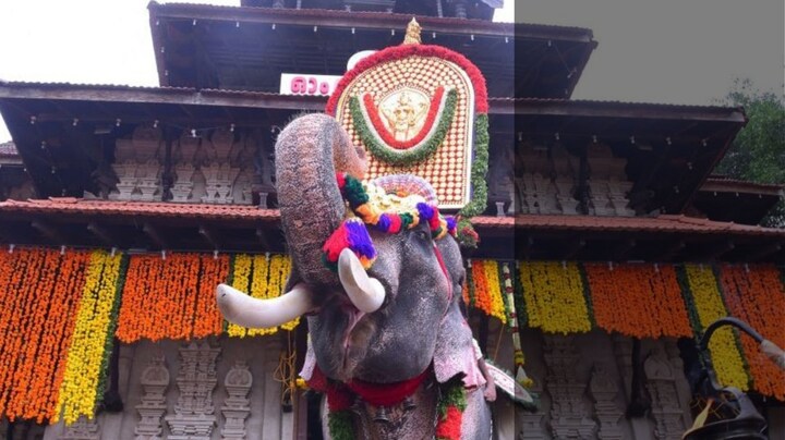 To parade or not: An elephantine problem at Thrissur Pooram