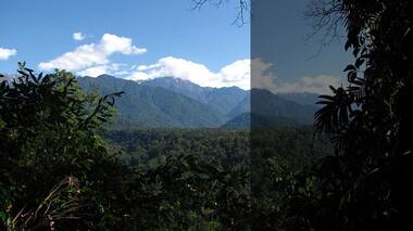 Climate change: Indian forests resilient to large shifts in rainfall, new study suggests