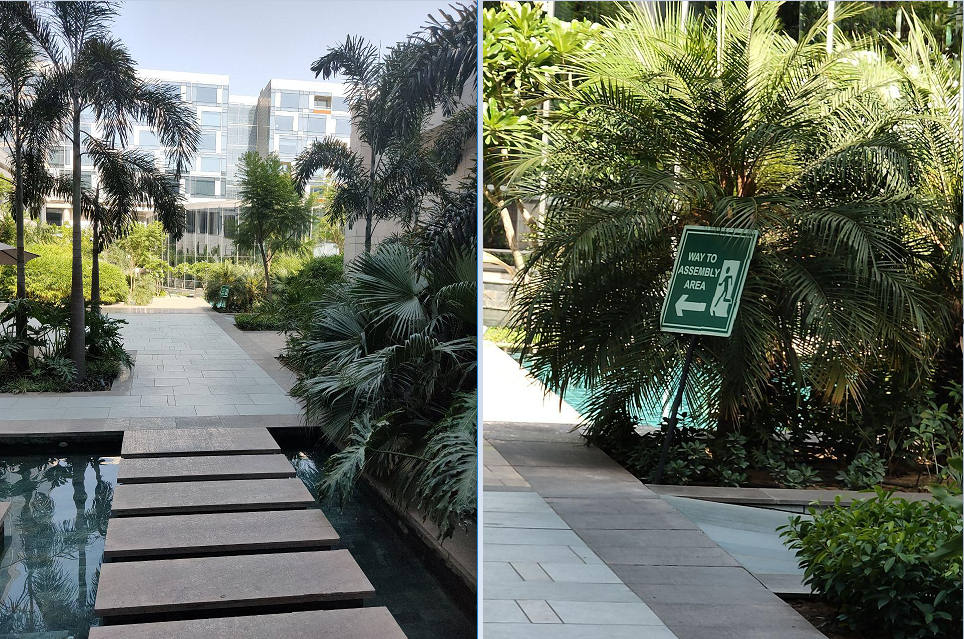 Left clicked on 1X, right on 10X Zoom. Shot on Oppo Reno 10X Zoom.