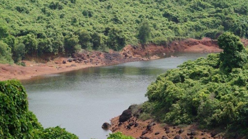 Bondvol lake is officially owned by a local comunidade, an ancient village land-owning institution in charge of common village lands. Photo by Pamela D’Mello.
