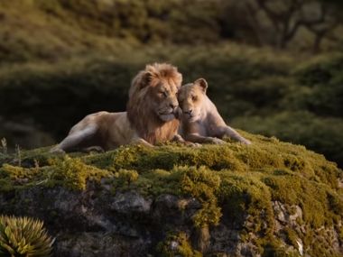 The Lion King: New TV Spot teases Beyoncé, Donald Glover duet on 'Can You Feel the Love Tonight' The Lion King: New TV Spot teases Beyoncé, Donald Glover duet on 'Can You Feel the Love Tonight'