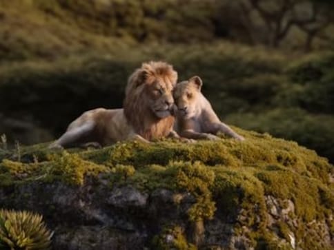 The Lion King: New TV Spot teases Beyoncé, Donald Glover duet on 'Can You Feel the Love Tonight' The Lion King: New TV Spot teases Beyoncé, Donald Glover duet on 'Can You Feel the Love Tonight'