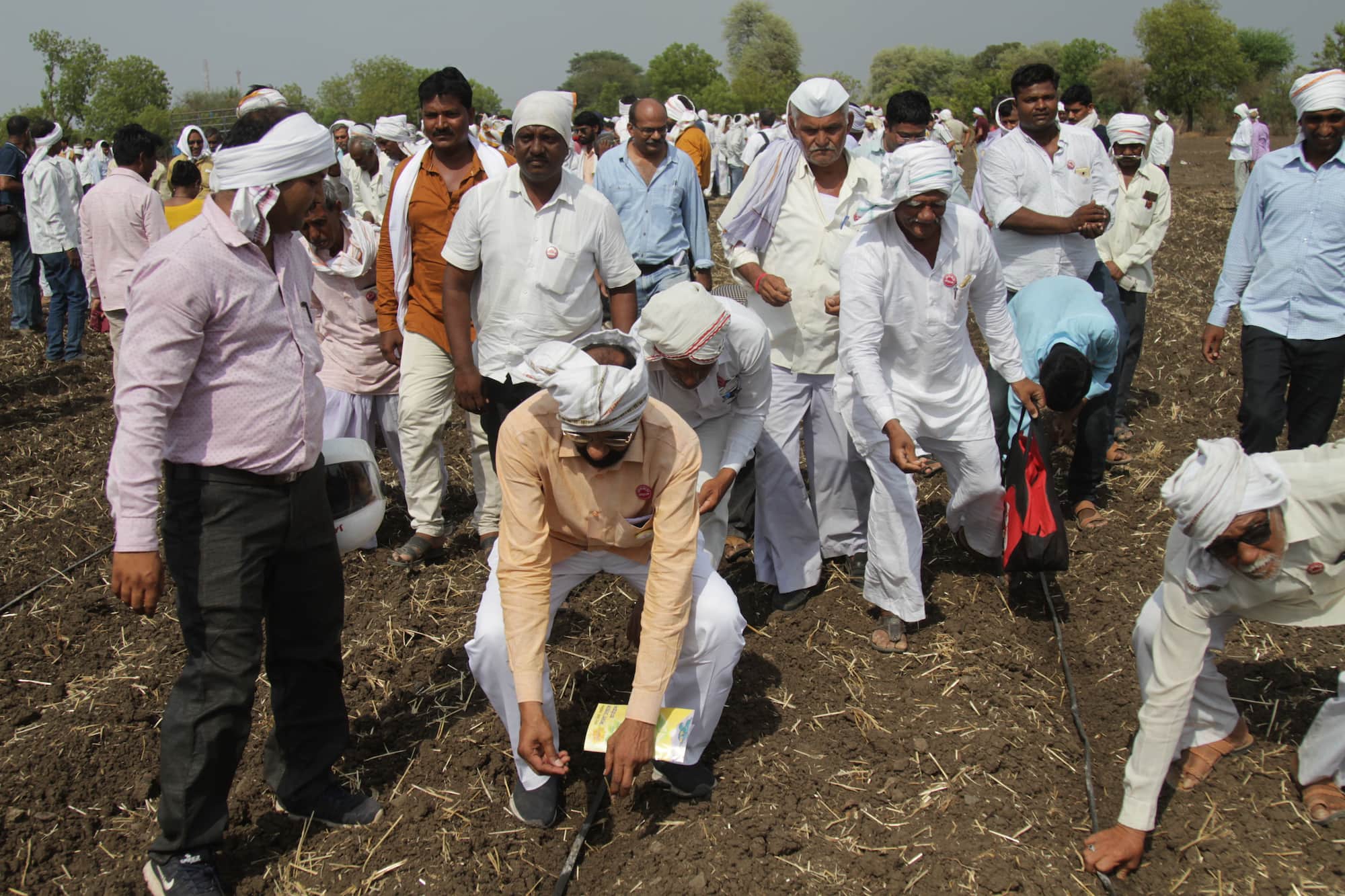 The Surge to Sow HTBt Cottonseed at Akoli Jahangir on 10 June, 2019