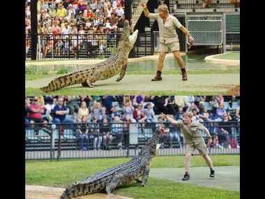 Steve Irwin's son Robert recreates late conservationist's iconic photograph with crocodile Steve Irwin's son Robert recreates late conservationist's iconic photograph with crocodile