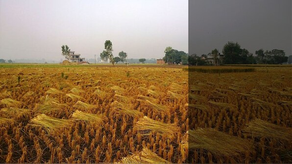As Punjab's groundwater levels drop alarmingly, farmers confront desperate times ahead