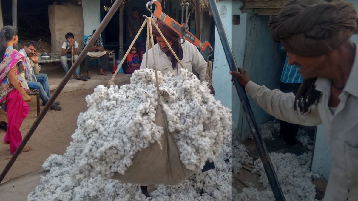 Union Cabinet approves price support of Rs 17,408.85 cr to Cotton Commission of India