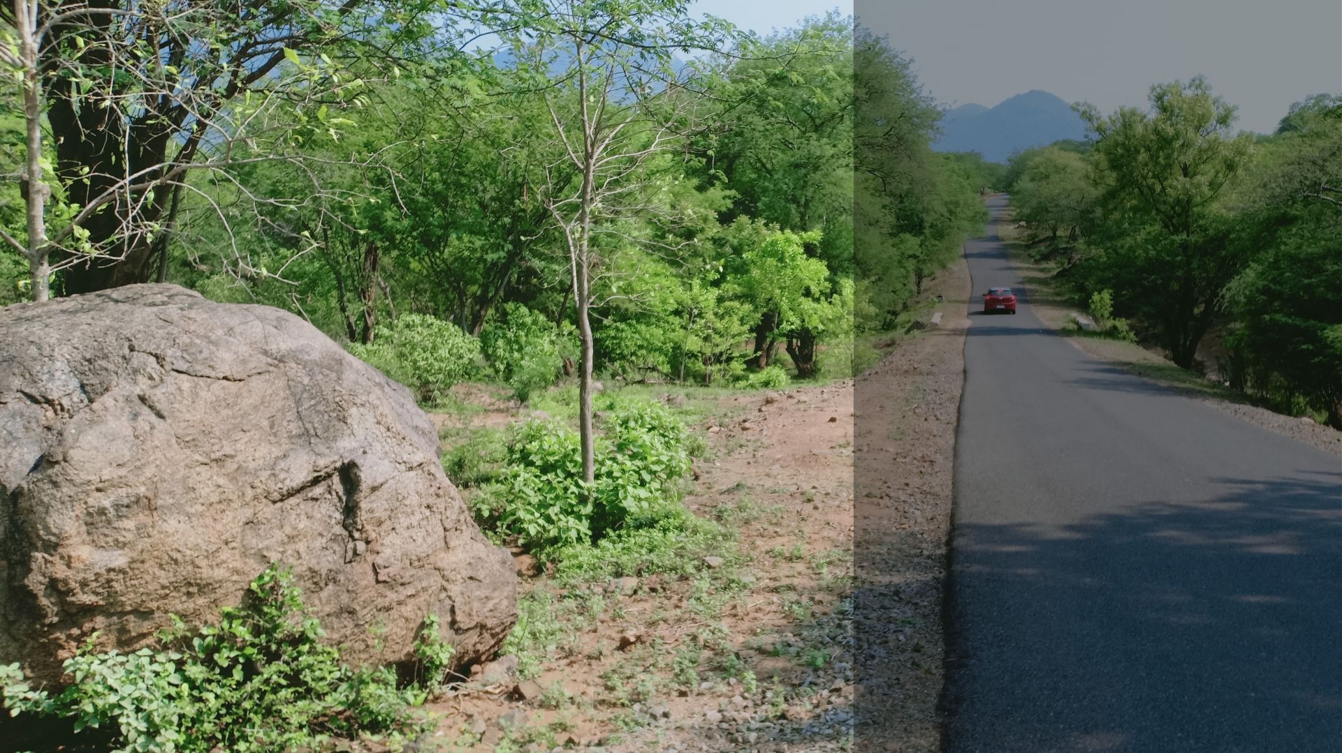 Kenneth Anderson and Melagiri: Colonial hunter's legacy drives conservation effort in South India's forests Kenneth Anderson and Melagiri: Colonial hunter's legacy drives conservation effort in South India's forests