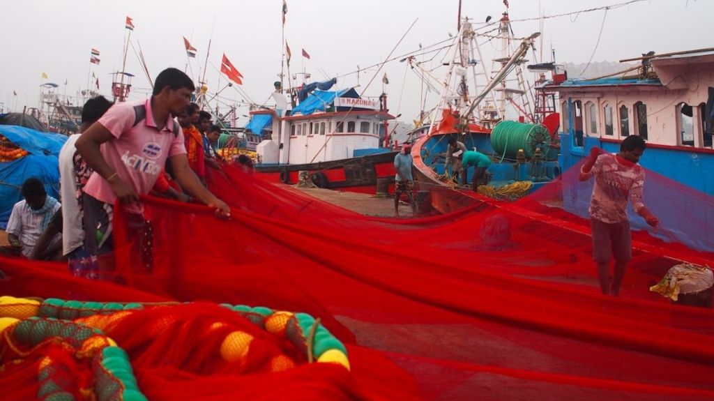 Fishers roll out a red purse-seine net in Mangalore, a major fishing harbour in southwest India.
