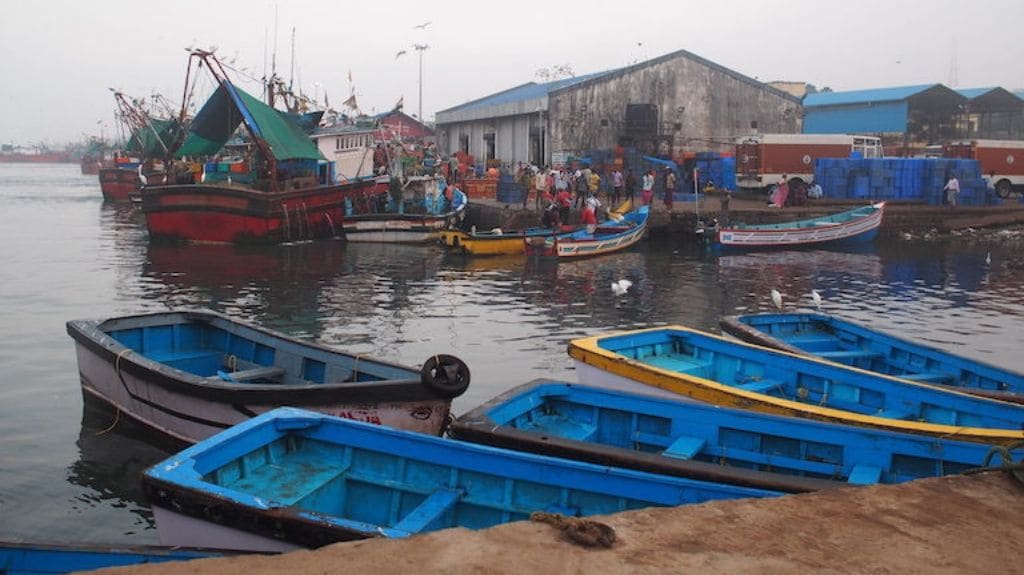India’s fishing fleet is a mix of traditional boats, small and medium-size motorised vessels, and larger mechanised boats that go out farther and stay longer at sea. The latter produce most of the country’s catch.
