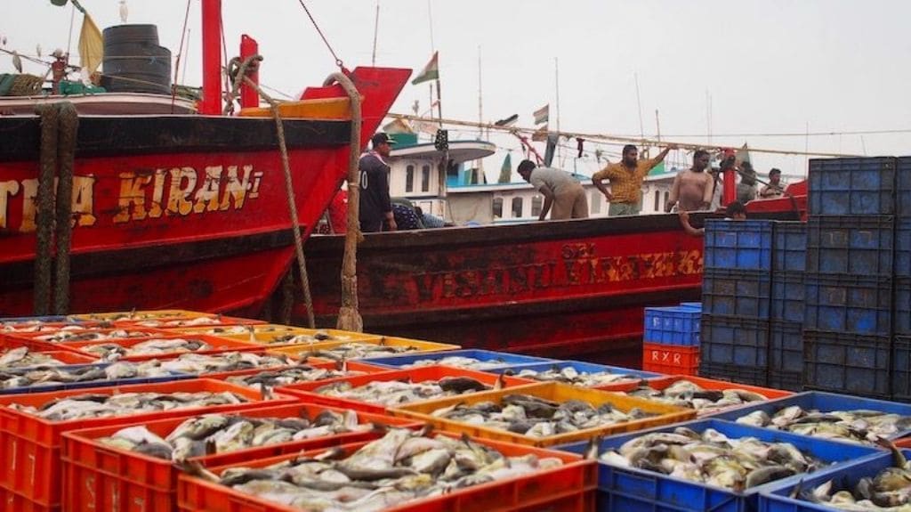 Fishing supports as many as four million people, according to government estimates, including one million active fishers.