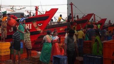 India begins regulating its fisheries in pursuit for sustainability, sets up first ministry for fisheries