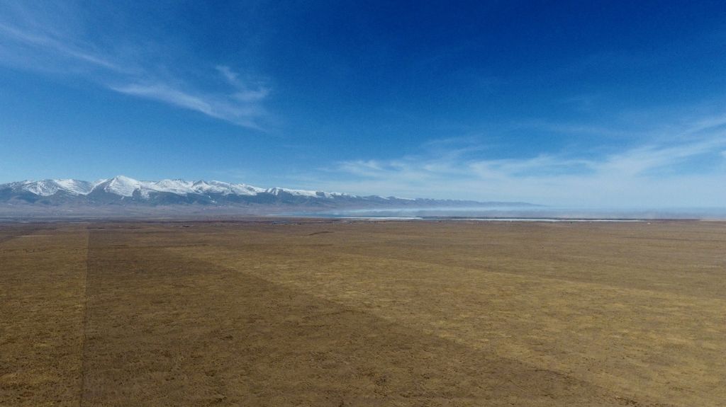 Yaks are visible at bottom left. Photo credit: Shao Wenjie.