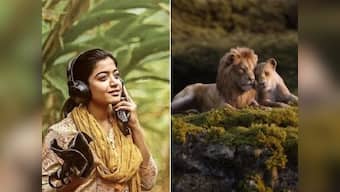 Dear Comrade earns Rs 33 cr globally in opening weekend; The Lion King tops Tamil Nadu box office
