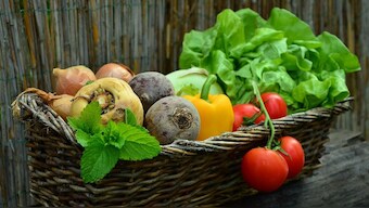 Plant-based diet found to reduce risk of fatal heart diseases, stroke: Study