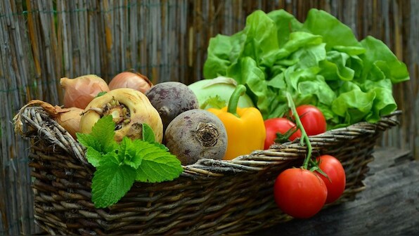 Plant-based diet found to reduce risk of fatal heart diseases, stroke: Study