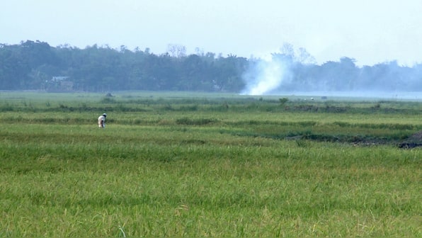 What the Fields Remember: Subasri Krishnan on the human cost of the Nellie massacre