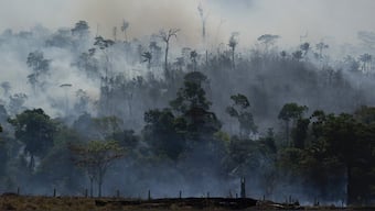 Amazon Fires: Latest developments on the burning Amazon rainforest region