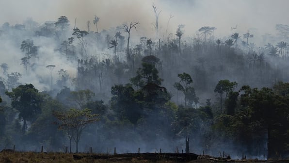 Amazon Fires at a 'tipping point' for health of the rainforest: Forestry group Chief