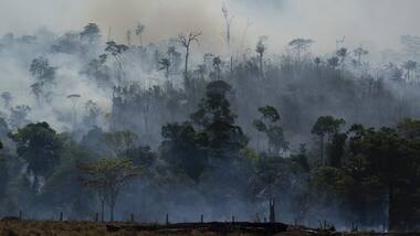 Amazon Fires: Latest developments on the burning Amazon rainforest region